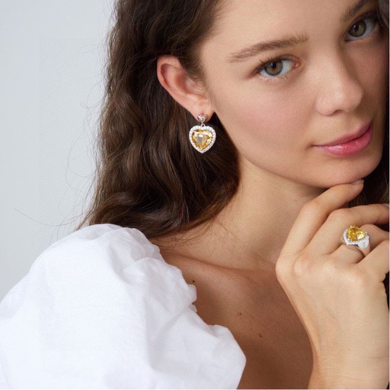 Bottega VENENTA Earrings